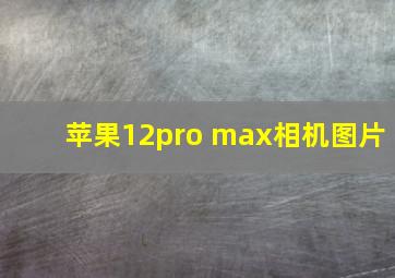 苹果12pro max相机图片